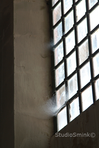 Kerkraam met spinneweb